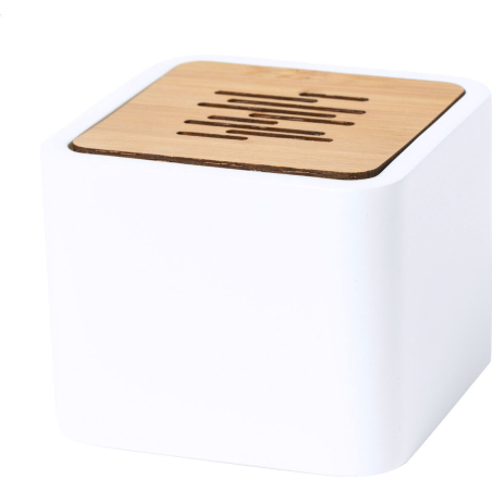 Haut-parleur sans fil PLA