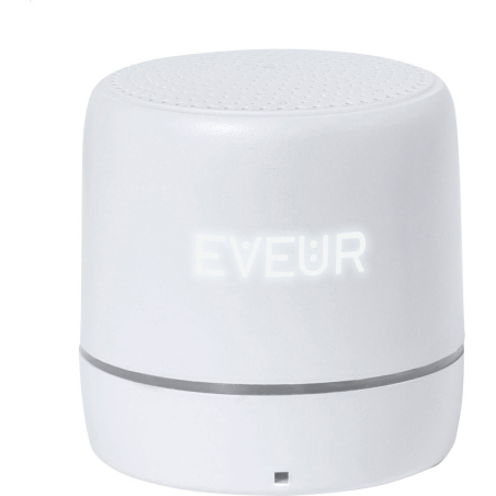 haut-parleur sans fil