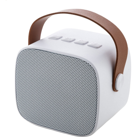 Haut-parleur sans fil RABS