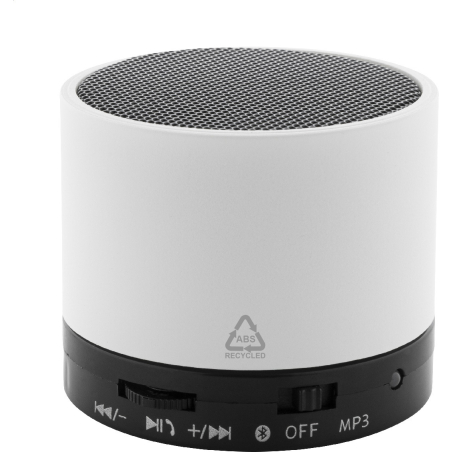 Enceinte sans fil RABS