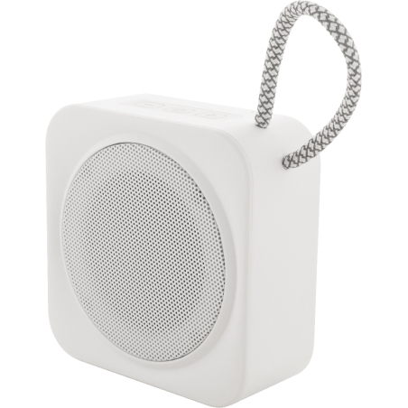 Enceinte sans fil RABS