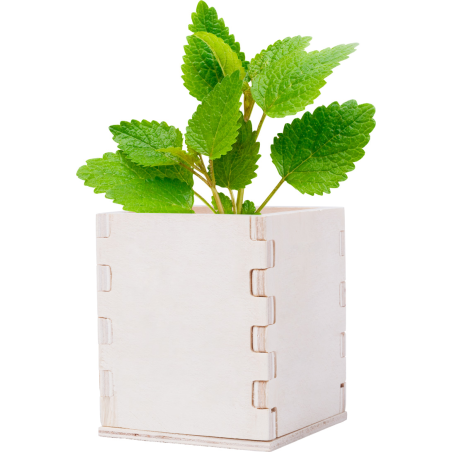 kit pour cultiver de la menthe