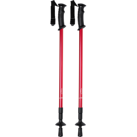 bâtons nordic walking