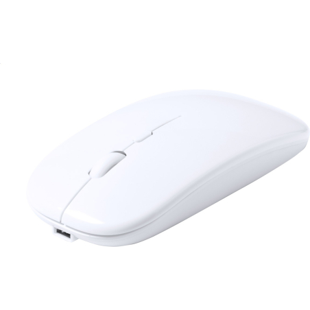 Souris optique RABS