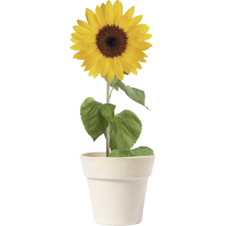 Pot de fleur